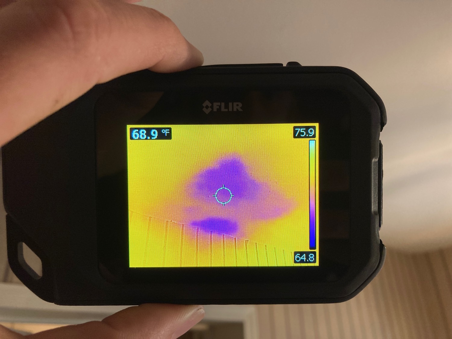 MOLD ASSESSMENTS