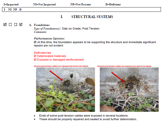 Example Report